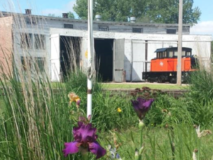 Purple flowers in foreground, train and garage in background